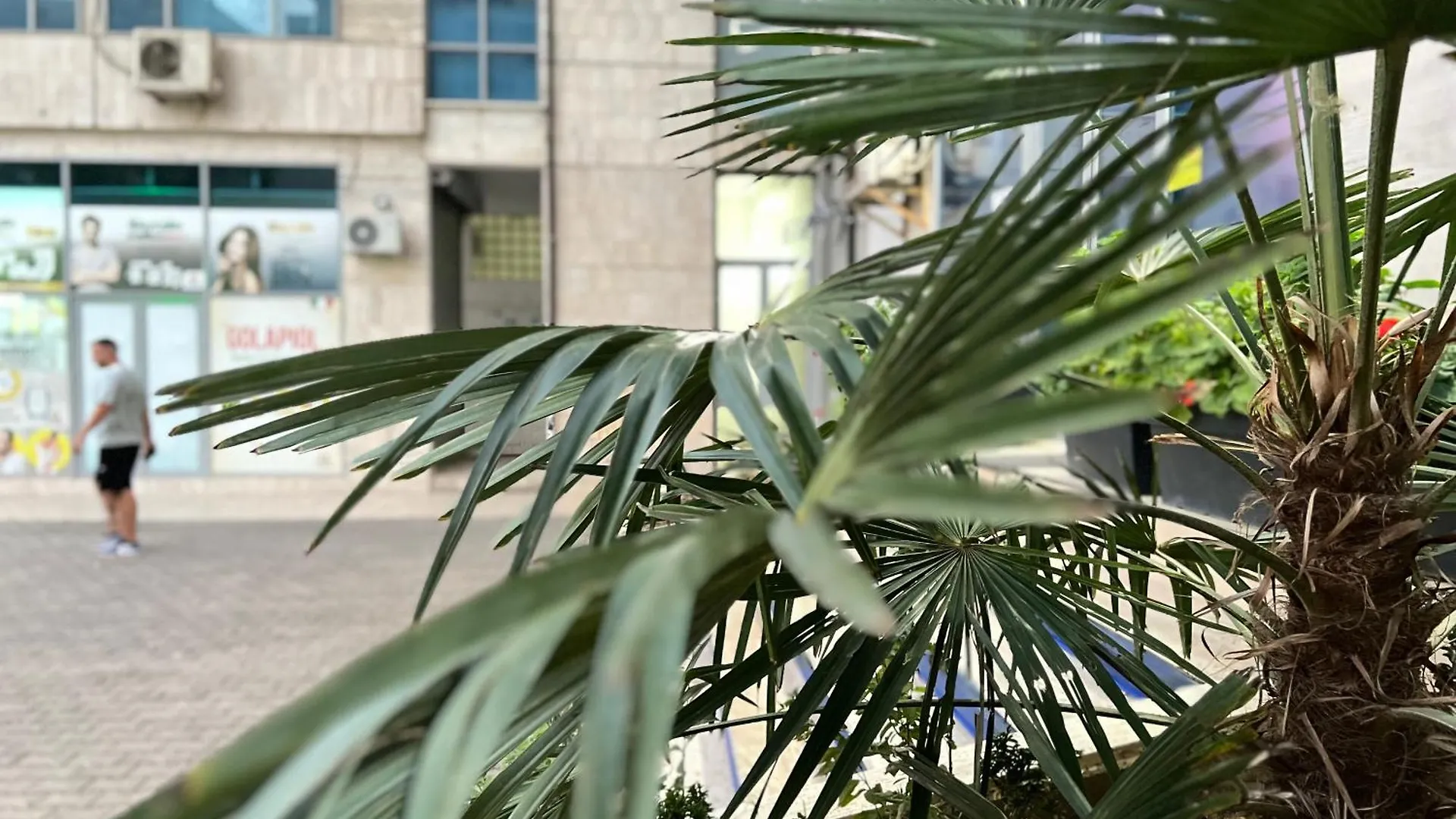 New Baazar Terrace Apartment Tirana
